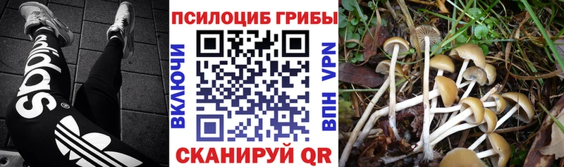Галлюциногенные грибы прущие грибы  shop какой сайт  Пересвет 